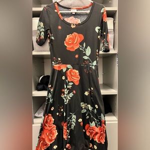 LuLaRoe Nicole Dress Small
